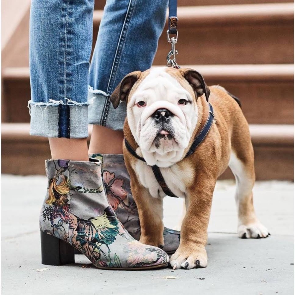Grey Floral Velvet Drea Booties View 2